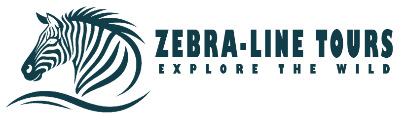 zebralinetours.com