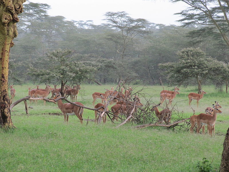 Thrilling Wildlife Expeditions - 3 Days