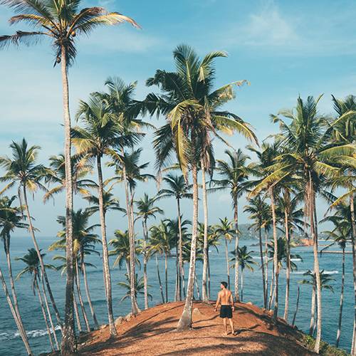 Vacations