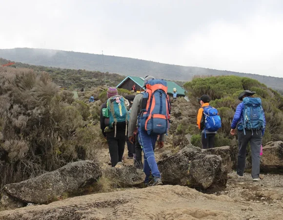 Kilimanjaro Lemosho Route 7 Days