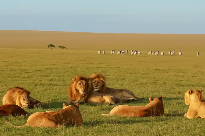 2 Days Tanzania Safari