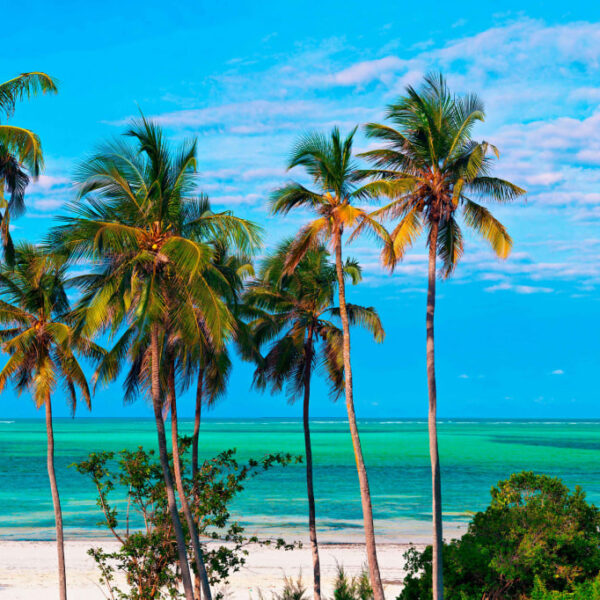 7 Days Zanzibar Honeymoon Holiday