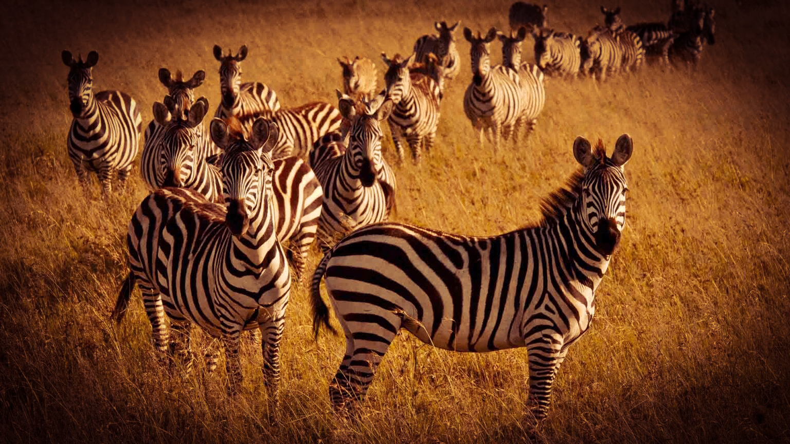 Kenya