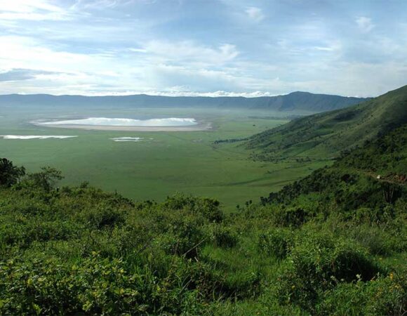 Ndutu Calving – 4 Days