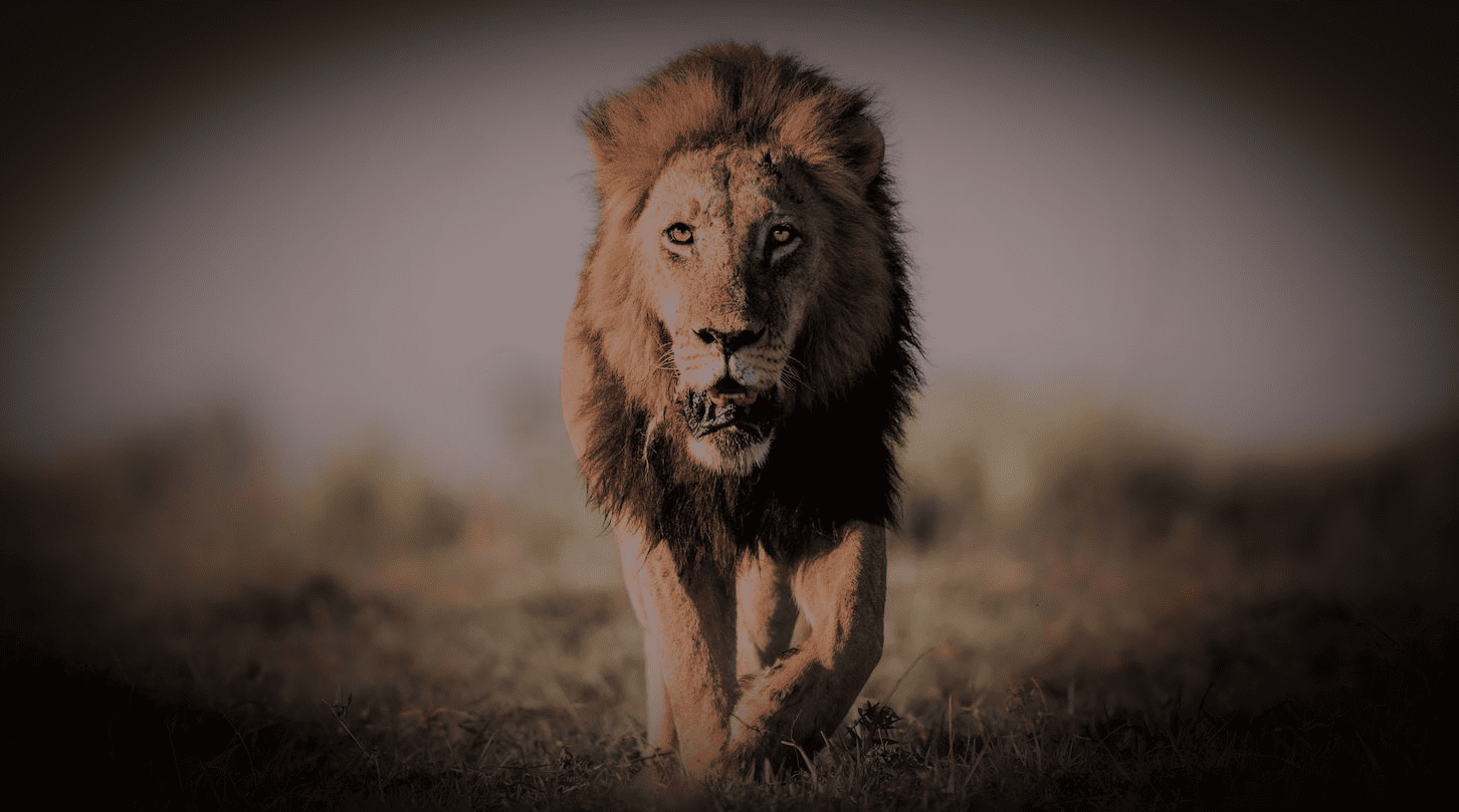 Tanzania & Kenya