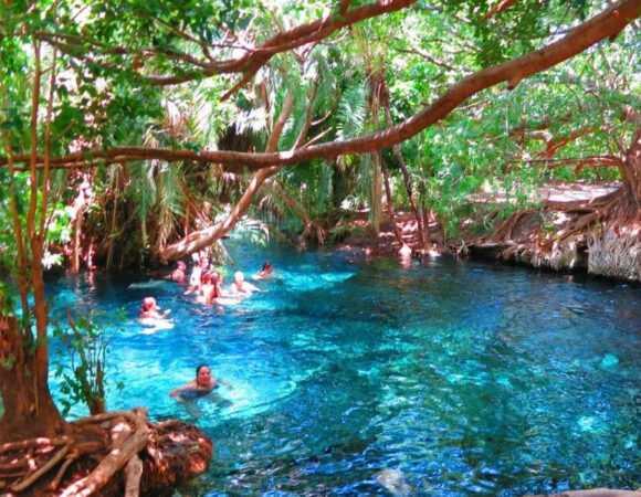 Kikuletwa (Chemka) Hot Spring