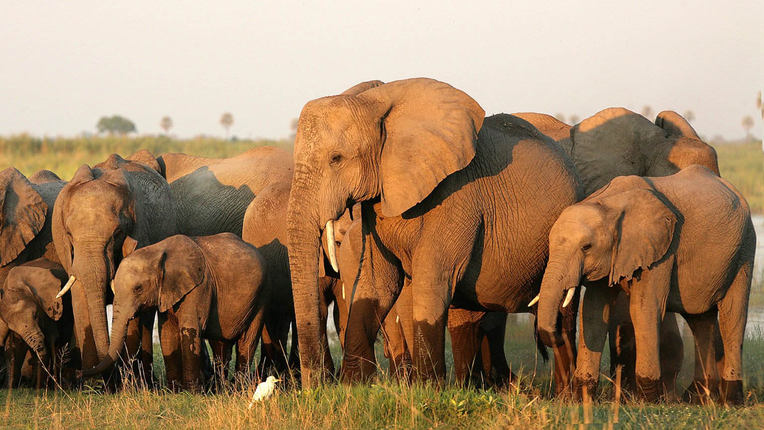 Tanzania