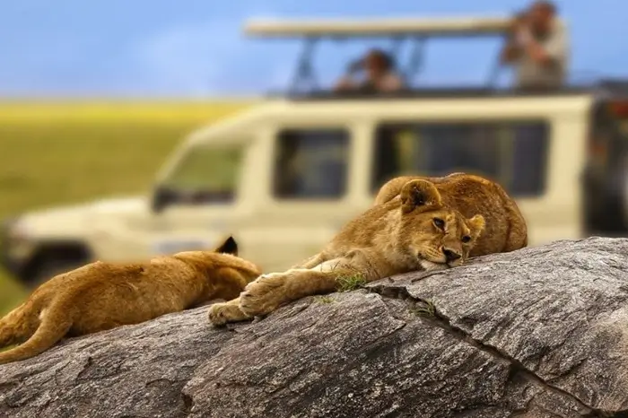 Tanzania Safari Cost