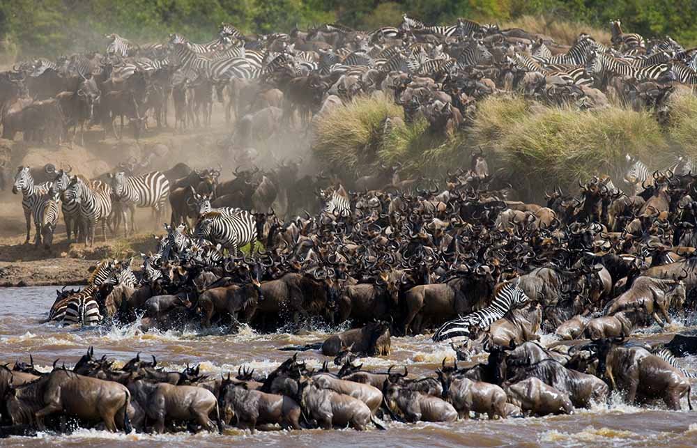 great-migration-1